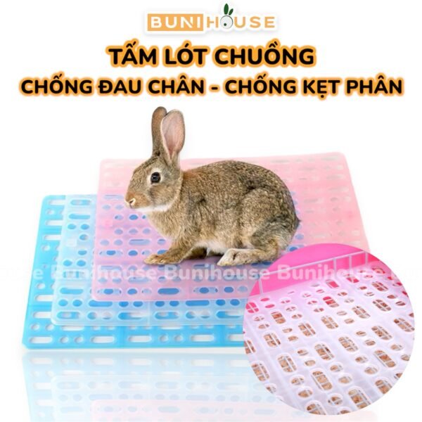 Tấm Lót Chuồng Êm Chân