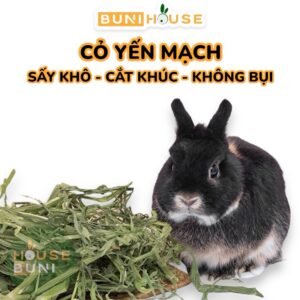 Cỏ Yến Mạch Cho Thỏ, Bọ Ú, Chinchillas 100g
