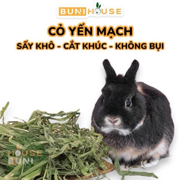 Cỏ Yến Mạch Cho Thỏ, Bọ Ú, Chinchillas 100g