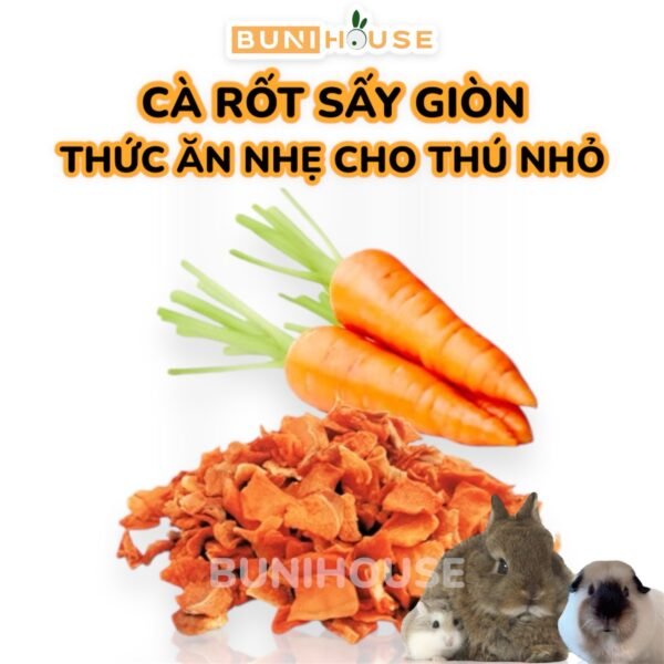 100g Cà Rốt Sấy Giòn Bunihouse