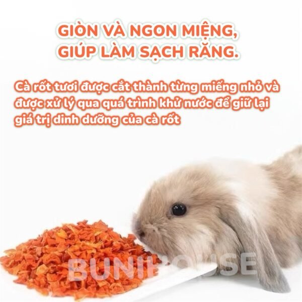 100g Cà Rốt Sấy Giòn Bunihouse - Ảnh 3