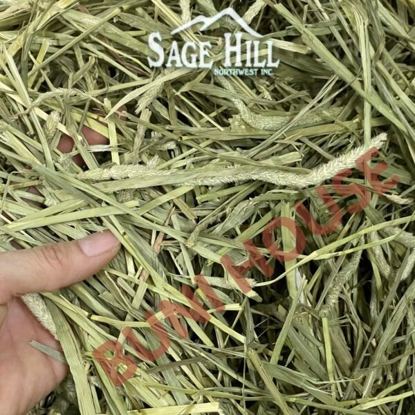 Cỏ Khô Timothy SageHill - Hình ảnh 3