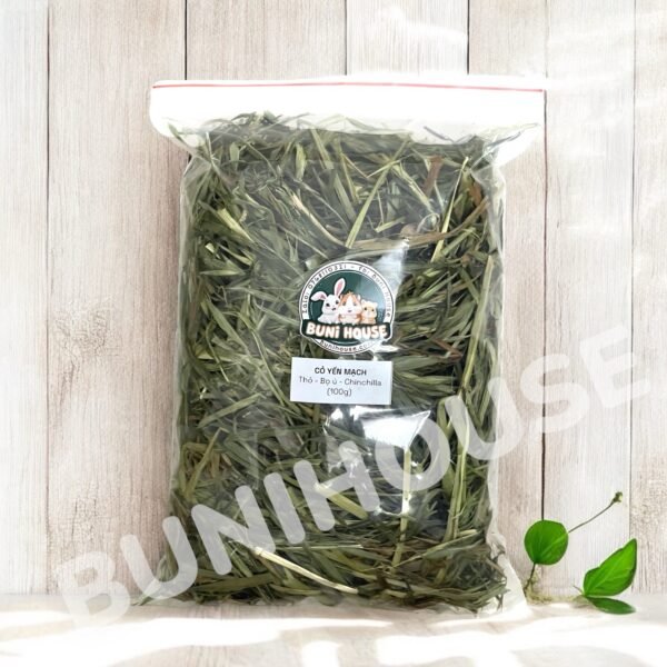 Cỏ Yến Mạch Cho Thỏ, Bọ Ú, Chinchillas 100g - Ảnh 3