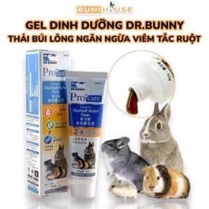 gel dinh dưỡng cho thỏ bọ ú