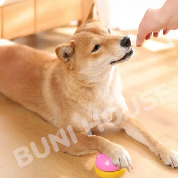 Chuông Huấn Luyện Thú Cưng - Ảnh 4