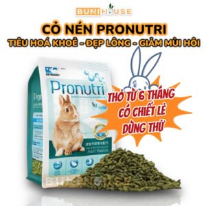 Cỏ Nén Cho Thỏ Lớn Pronutri DR316