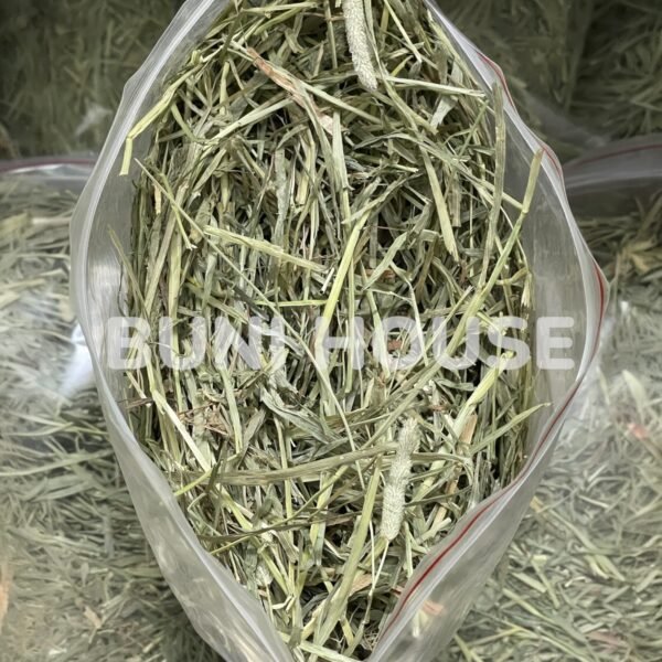 Cỏ Timothy Mềm Cho Thỏ, Bọ ú, Chinchillas - Ảnh 4