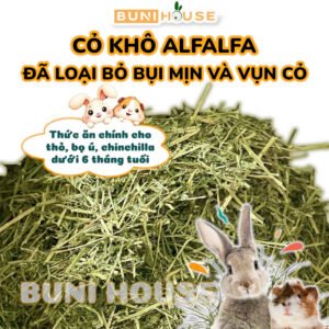 Cỏ Khô Alfalfa Bunihouse